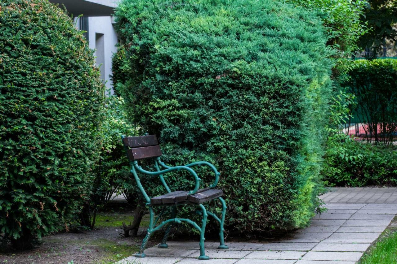 Viola Apartment Budapešť Exteriér fotografie